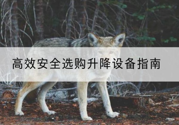 鄂城升降货梯厂家推荐-*安全选购升降设备指南