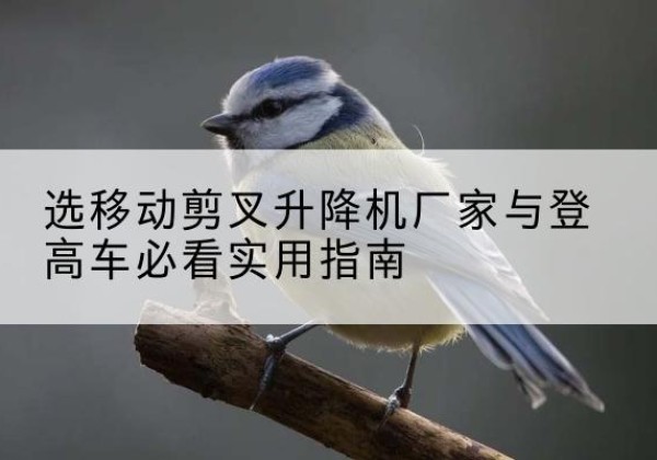 鄂城电动升降机厂家-选移动剪叉升降机厂家与登高车必看实用指南