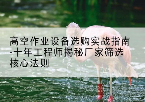 鄂城剪叉式升降机厂家-高空作业设备选购实战指南-十年工程师揭秘厂家筛选核心法则